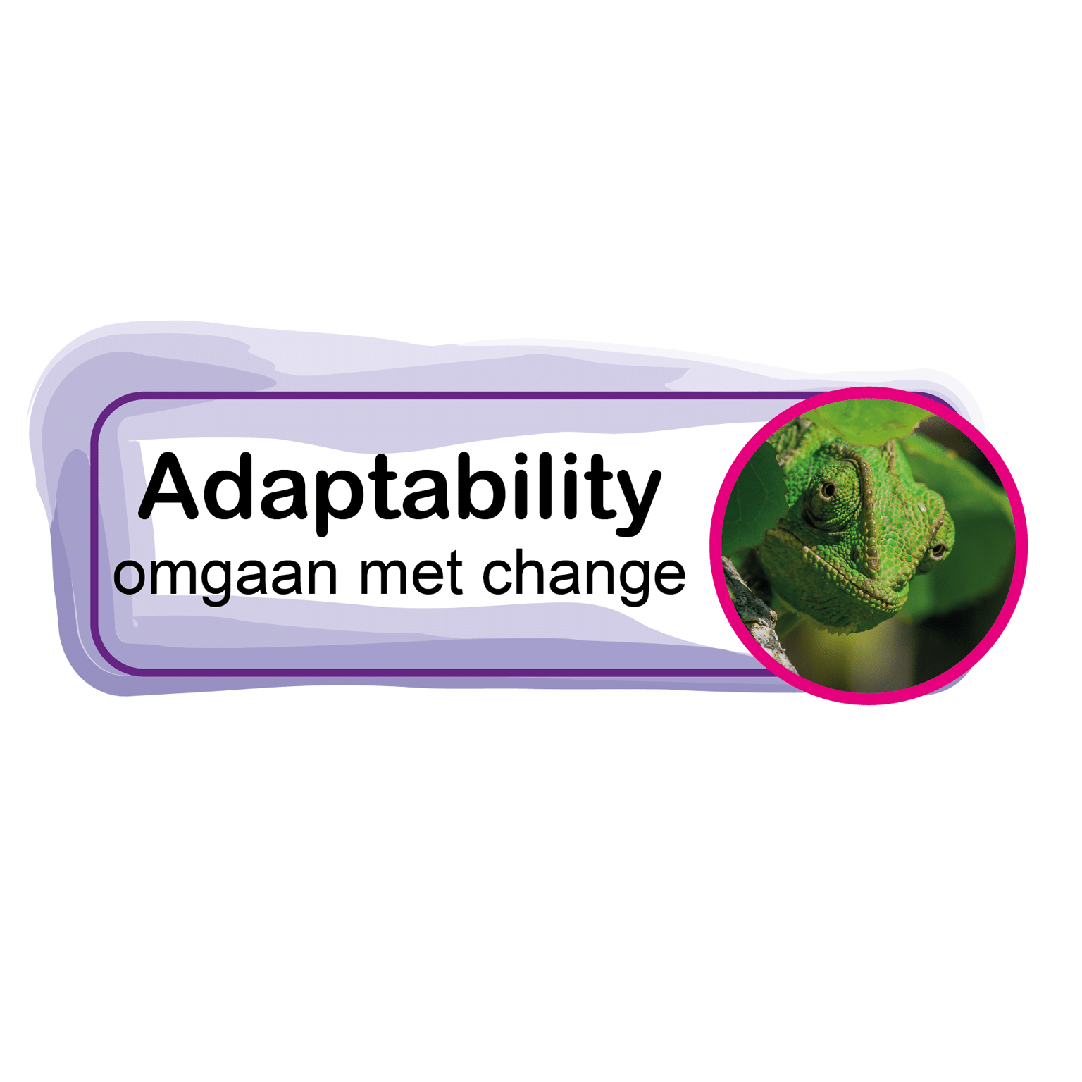 Adaptability - aanpassingsvermogen